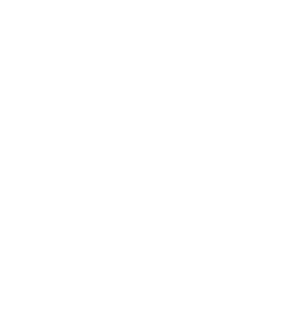 foundation-of-the-americas-logo